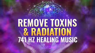 741 Hz Healing Frequency Remove Toxins Spiritual Detoxification [upl. by Ahtiekahs]