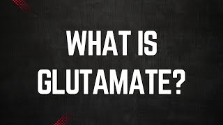 What is Glutamate [upl. by Anelrahc]