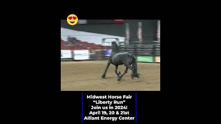 The Stallion at Liberty Run Midwest Horse Fair 2023 [upl. by Gonta]