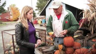 Pumpkin Carving How to Pick a Pumpkin or Squash [upl. by Atiuqcaj]