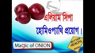 Homeopathy Bangla Software BioTech LearningAllium Cepa Call 01552396159 [upl. by Warder727]