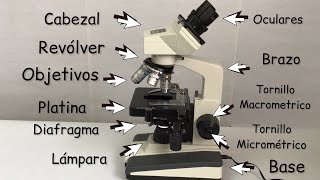 El microscopio y sus partes Explicación de cómo funciona BiologíayEcología clasesdebiología [upl. by Hareemas]