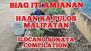 BIAG ITI AMIANAN NAGRIGAT ITI MANGLIPAT  ILOCANO SONATA NONSTOP [upl. by Ayram801]