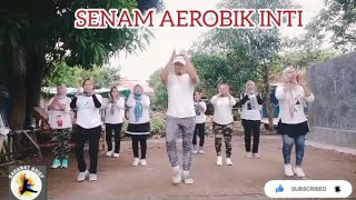 SENAM AEROBIK MUDAH DI IKUTI BIKIN BERKERINGAT [upl. by Aikehs]