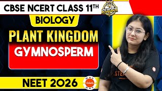 Gymnosperms  CBSE Class 11 Biology NCERT Chapter 3  Plant Kingdom  NEET 2026 [upl. by Lisha]