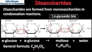 B4 Disaccharides SL [upl. by Yekciv]