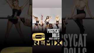 THE PUSSYCAT DOLLS  WHEN I GROW UP C MINOR REMIX [upl. by Gonick]