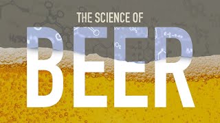 How is Beer Made [upl. by Eitsrik]