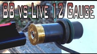 BB Fired at a Live 12 Gauge Shell [upl. by Ettinger349]