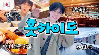 삿포로 여행 막차탑승🚌 엄마랑 3월 홋카이도 여행 브이로그 ft 유라이크 제모기 [upl. by Nahgeem]