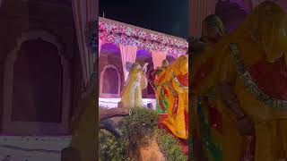 HARIYO PODINO  FOLK LANGA SONG  RAJASTHANI BRIDE DANCE  GHOOMET DANCE [upl. by Aioj]