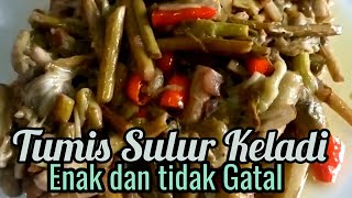 Cara masak sulur keladi agar tidak gatal  masakan kalimantan [upl. by Aihsak]