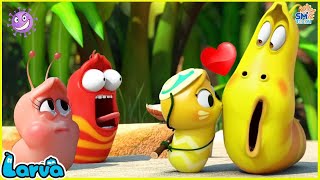 LARVA SEASON 3 EPISODE 480  583 🍟 NEST VERSION LARVA  COMICS  MINI SERIES FROM ANIMATION LARVA [upl. by Dunson]