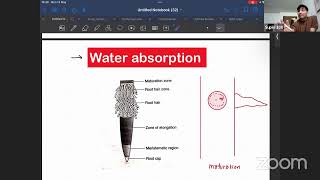 Physiology 5  Water potential  plasmolysis  super 100  New admission  Cee  Super 100 [upl. by Berrie]