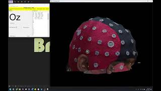 Automatic EEG Electrode Localization and Labeling in Brainstorm 2024 version [upl. by Kcirdneh863]