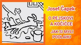 O PEJSKOVI 🐶 🦴A KOČIČCE 🐱Josef Čapek  JAK SI MYLI 🧼🪣PODLAHU  audio pohádka [upl. by Madalyn558]