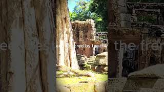 The Complex of Banteay Kdei temple from 12th Century history ancienttemple travel angkorwat [upl. by Anilocin443]