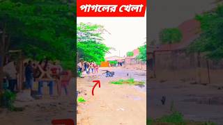 Baba Tomar Dorbare Sob Pagoler Khela shortvideo BabaTomarDorbare funny [upl. by Faubert]