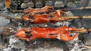 How to Cook Lechon baboy Using Bamboo ang Charcoal Cooking Lechon Baboy  Classic Lechon baboy [upl. by Nnael481]