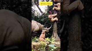 shorts vadivelu safari hunting reels funnyvideo lion subscribe africa funny rhino hyena [upl. by Daly]