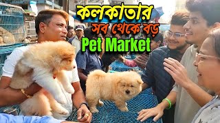 Galiff Street Pet Market Kolkata  Dog Puppy Price Update  Dog  dog market in kolkata  Dog Price [upl. by Gherardo]