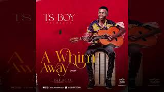 TS BOY PRODUCER  A WHIM AWAY COVER [upl. by Maletta]