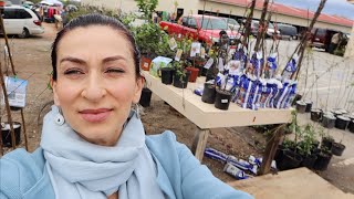 Shopping for Trees from Barnyard Flea Market  Heghineh Family Vlogs [upl. by Aniratac]