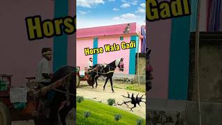 Ghoda gadi sawari🤪minivlog shortvideo shortfeed vlog horse souravjoshivlogs freefire [upl. by Nadual]