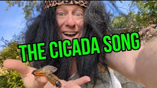 The Cicada Song fyp cicadas parody musicvideo like share [upl. by Jorgan]