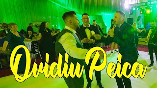 Super petrecere cu Ovidiu Peica [upl. by Yessac]