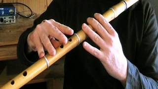 Dominics Farewell to Cashel  Irish Flute Tutorial  Tradschool [upl. by Eicyaj]