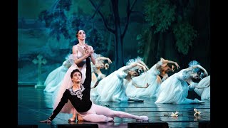 Giselle Ballet  Full Performance  Live Ballet [upl. by Htyderem556]