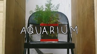 Sharing My Aquarium not a tutorial [upl. by Aitret106]