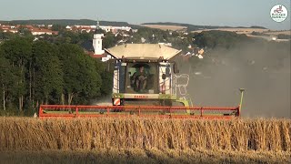 Sommergerste Ernte bei Frankenberg  Grain Harvest Claas Lexion JCB Fastrac Multi Agrar Claußnitz [upl. by Einnel]