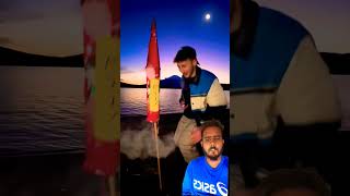 This is a 750000 firework rocket fire fireworks [upl. by Lehsar]