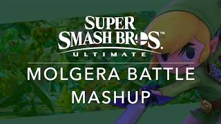 SSBU Molgera Battle Mashup Wind WakerSSBU [upl. by Gunter913]