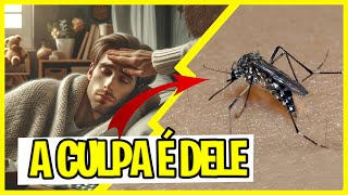 Sintomas da DENGUE e as suas fases [upl. by Inalial]