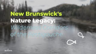 Nature Legacy  Wilderness Corridors of the Restigouche [upl. by Tomlinson37]