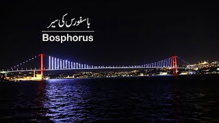 Bosphorus Cruise Trip  Istanbul Tour  Travel Turkey [upl. by Jeanette264]