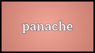 Panache Meaning [upl. by Brackett]