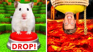 Hamster Maze vs Human Traps 🐹 World’s Most Extreme Elimination Game Last To Survive Minecraft Wins [upl. by Nagud]