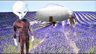 Valensole UFO in Frankreich France [upl. by Esom173]