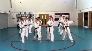 Zanshin Karate Cymru Demonstration Team 2013 [upl. by Seluj]