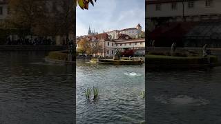 Wallenstein Garden I Prague Czech Republic 🇨🇿 I 2024 short europe travel prague [upl. by Emirej]