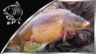 CARP FISHING VIDEOS NASH TV  RAW ALAN AND TOM GO TO LINFORD LAKES  NASH TACKLE [upl. by Nilyad946]