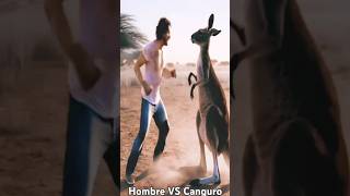 Canguro vs Humano Fight🔥🦘👊🏻 kangoro canguro mma fighting boxing viralshorts strike ai short [upl. by Lorrayne]