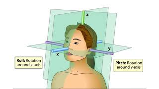 The Vestibular System [upl. by Ellingston]