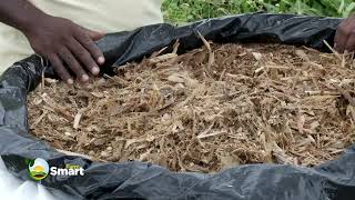 Silage Making Process With Itungo Pastures [upl. by Annaoj252]