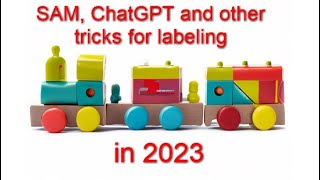 Labeling in 2023 SAM ChatGPT Interview with Roman [upl. by Kiefer382]