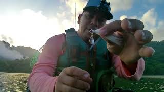 Probando las plumillas con quotSpinnerquot  Pesca con plumillas  Bucktail Fishing [upl. by Eerahs]